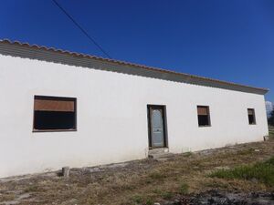 Country property to finish with an olive grove. SAL154