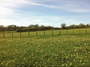 4800m2 plot of land with planning permission granted