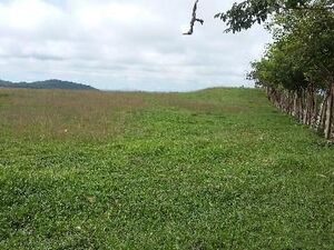 104 HECTARE PLOT OF LAND FOR SALE IN LA CHORRERA, PANAMA