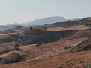 Panoramic Land in Sicily - Guida Cda Balata