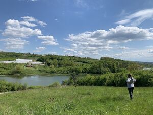 Plot on the Kudrec lake, Smederevska Palanka