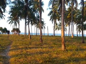 Prime Beachfront Property Near Sinda Island, Tanzania 🇹🇿