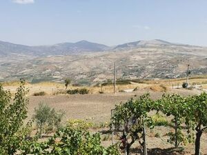 Panoramic Villa and land in Sicily - Villa Heide