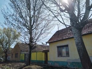 Subotica-Cantavir property for sale