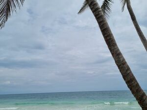 26909 sqft Lot, The Sian Kaan reserve, Tulum