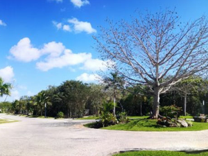 4650 sqft Lot, Essenza, Selvamar, Playa del Carmen