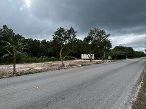 2152 Sqft Lot, Ruta Selva Urbana, Puerto Morelos