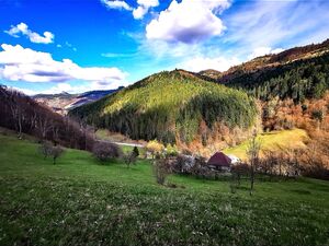 Land + 2 houses + business Transylvania 