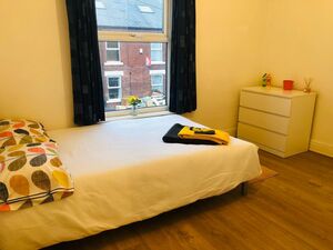 Find the affordable student living on Pomona Street, Sheffie