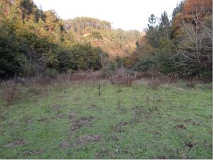 Land with rustic building