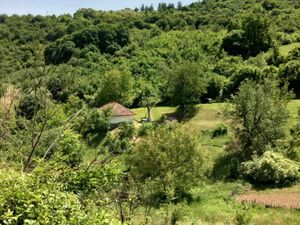 SUMMER HOUSE & LAND (6000 m²)