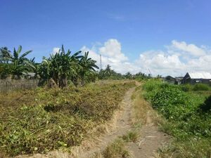 500 sq. meters LOT for sale in Barangay Cogon .Roxas City. 