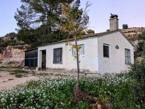 Legalised House, 12 acres, Own Well, Olives Almonds Pasture