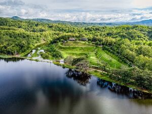 The Best Feng Shui House For Sale, surrounded by reservoir a