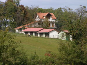 House with a garden of 20,000 m2 and auxiliary facilities