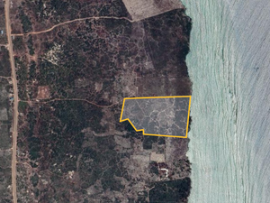 Zanzibar Beach Land For Sale - Matemwe Region | 87,000 SQM