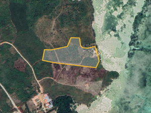 Zanzibar Beach Land For Sale - Pongwe Region | 20,726 SQM