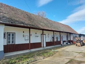 House in House in Szakály, Tolna, Tolna