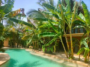 Zanzibar Garden Hotel - Paje Region | 10 Bedrooms 