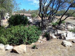 Sardinia: GREEN AGRARIAN RETREAT FOR SALE