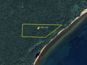 9.2-Acre Seafront Pristine Property in Monkey River Town, Be