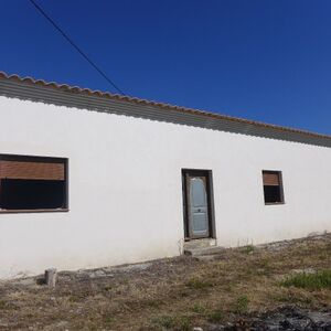 Country property to finish with an olive grove. SAL154