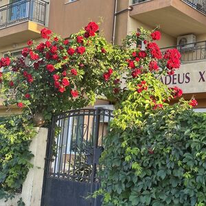 One-bedroom apartment with big balcony for sale in Amadeus 