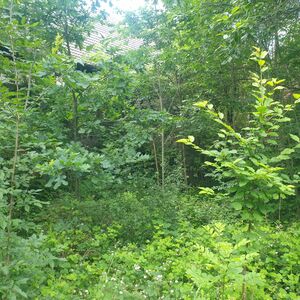 Plot of land  is 35.099 m2 (8.7 Acres ) Near Berlin