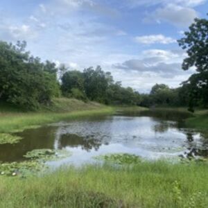 Picturesque serene property adjacent to year around pond 