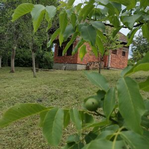 Lovely orchard, ready to move in