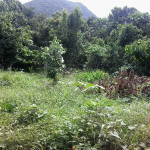 Land For Sale In La Plaine