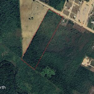 30 acres Belize Farm Land in Southern Belize