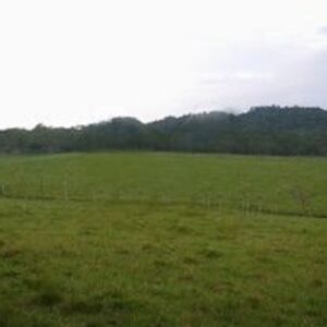 35.6 HECTARE PLOT OF LAND SUITABLE FOR HOUSING DEVELOPMENT