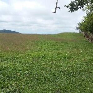 104 HECTARE PLOT OF LAND FOR SALE IN LA CHORRERA, PANAMA