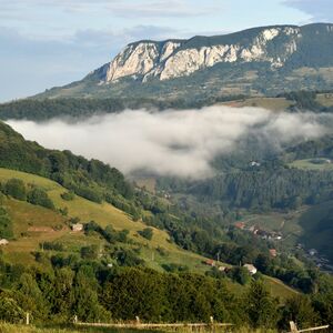 Land in the mountain area