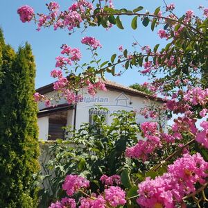 Lovely Bulgarian house 60 km to Stara zagora Haskovo region