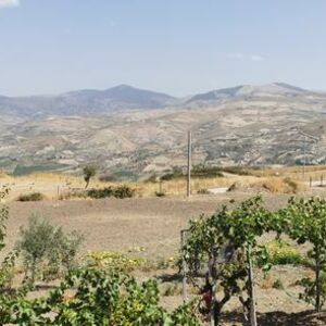 Panoramic Villa and land in Sicily - Villa Heide