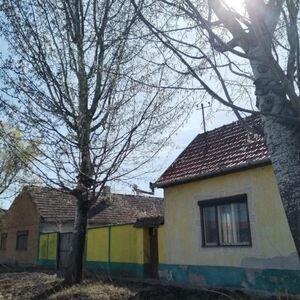 Subotica-Cantavir property for sale