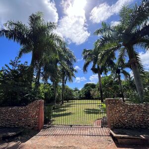 Land / TROPICAL GARDEN / Las Galeras