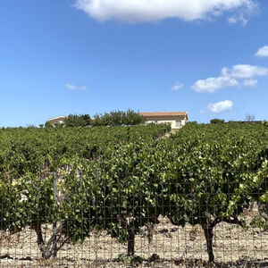 Agricultural Property with vineyard in Soleminis, Cagliari