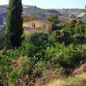 Panoramic House and land in Sicily - Villa Carubia Corso