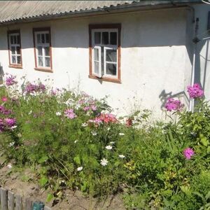 Traditional smallholding for sale in Kyiv region!