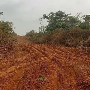 176 acres of land at Nkometou Yaoundé Cameroun