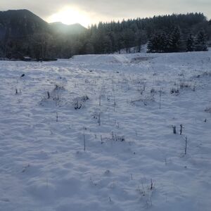 Land in Transylvania amazing mountain views