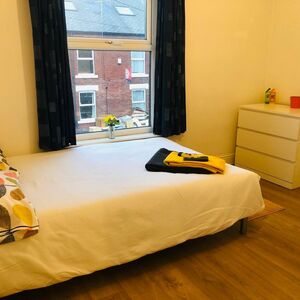 Find the affordable student living on Pomona Street, Sheffie