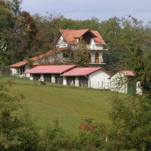 House with a garden of 20,000 m2 and auxiliary facilities