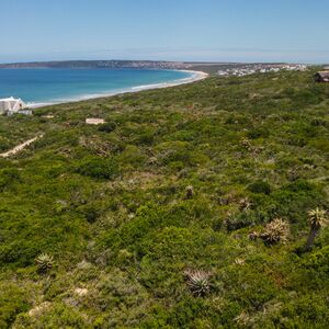 Uncover the Magic of Springerbaai  Eco Estate