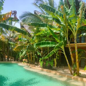 Zanzibar Garden Hotel - Paje Region | 10 Bedrooms 