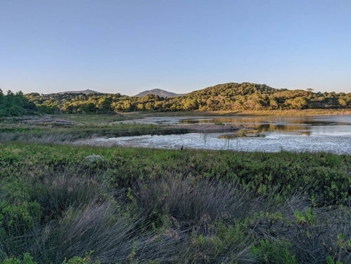 Nearby Lake of Baratz