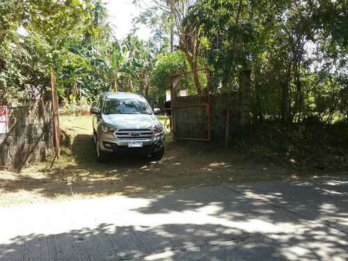 Farm entrance/exit gate